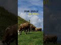 Частина 2 Music рек поезія 