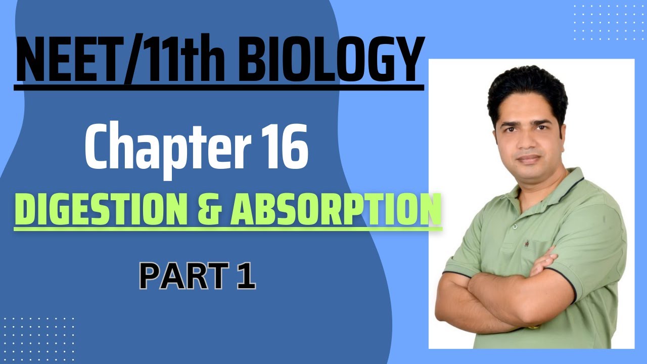 11th Class Biology/NEET Biology - Chapter 16 || Digestion & Absorption ...