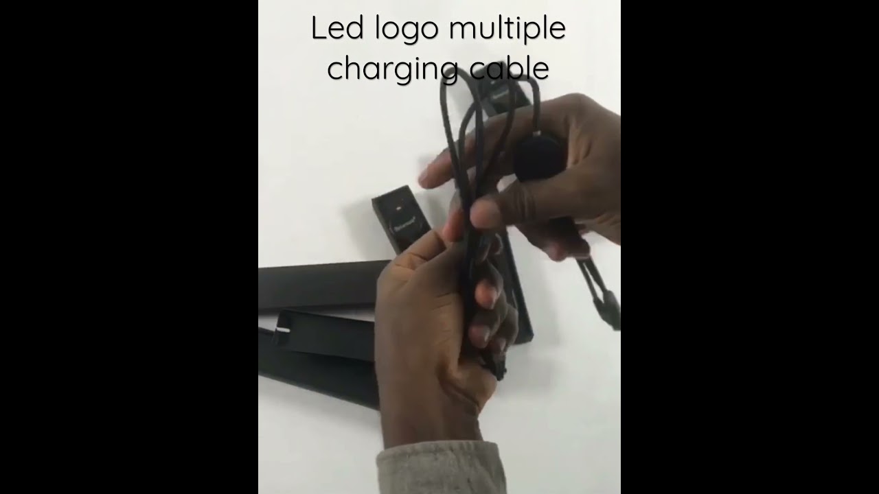 Led Logo Multiple Charging Cable