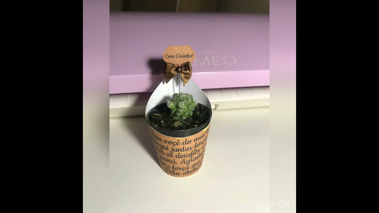 MINI SUCULENTA PERSONALIZADA