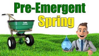When to Put Down Spring Pre Emergent