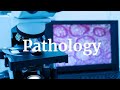 Introduction to Pathology