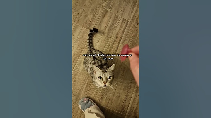 Das Ende war so klar 😅 folg uns für mehr ❤️ #Katzen