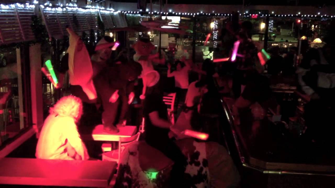 ER Bradley's Harlem Shake