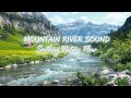 Peaceful River Sounds | Peaceful Forest Ambience for Relaxation #RiverSounds