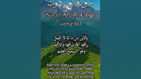 تلاوة عطرة لما تيسر من سورة العنكبوت، الشيخ محمد عبدالله الغباتي فجريات مسجد الحسن، البحرين #quran
