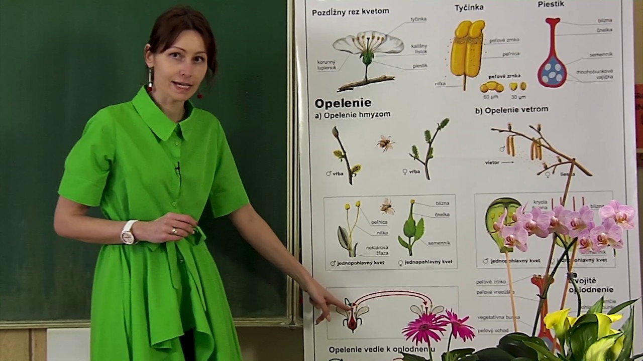 Biológia s pani učiteľkou PaedDr. Zuzanou Ferenčákovou
