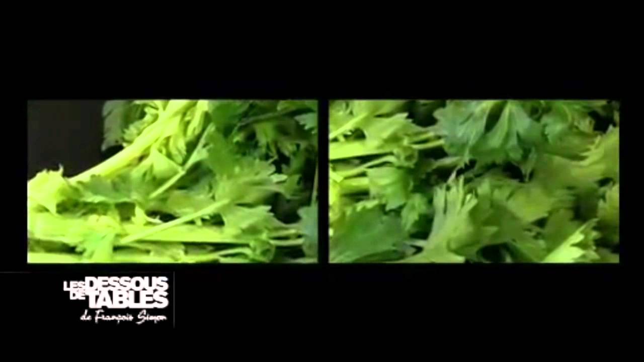 camera iphone 8 plus apk Produit de la semaine - Céleri