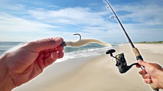 Limited Out By Breakfast!!! EASY Summer Surf Fishing!