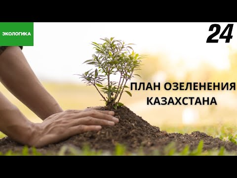 В Казахстане началась масштабная лесопосадка | Экологика