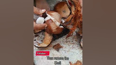 Testing Viral Daily Hack of @FitTuber  |  How to remove Coconut Shell easily | #shorts