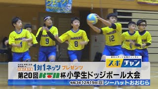 【KTN】第20回KTN杯小学生ドッジボール大会