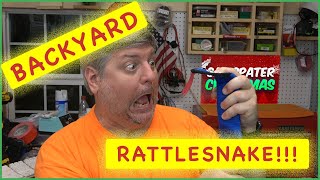 VLOG - BACKYARD RATTLESNAKE!!! (2021) @CanispaterChristmas