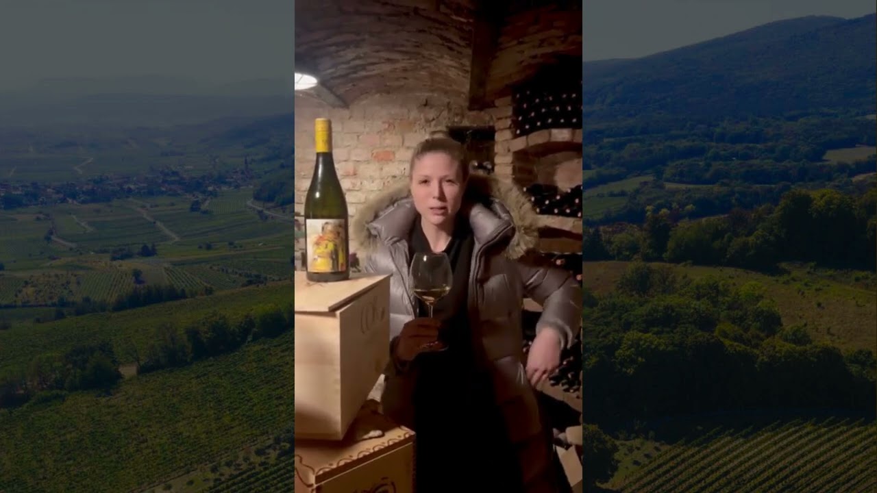 Winzer Familie Gregor Schup Wines | Hero Producers | Humble Grape Wine Bar & Restaurant