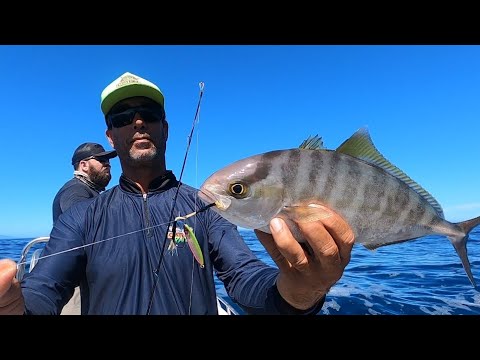 Anchor Island - Búzios - Pitangas and lots of fish - Leogafanha Fishing Guide