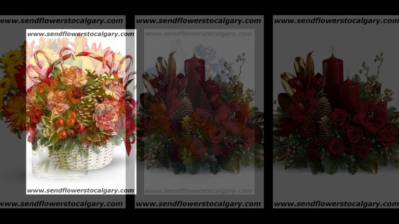 send flowers from United States to Calgary, Alberta, Canada