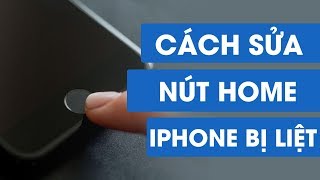 Top 9 cách làm nút home không bị liệt mới nhất năm 2022