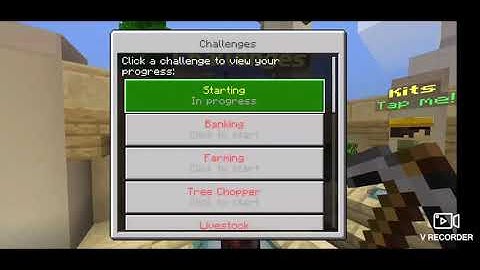 Played nethergames skyblock (WTF moment)