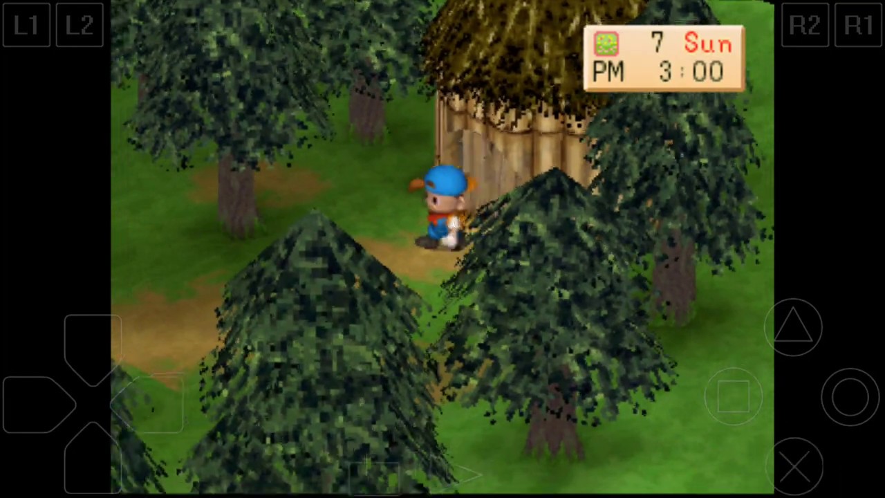 Pesta Teh Dengan Kurcaci 🍵 - Harvest moon back to nature - YouTube