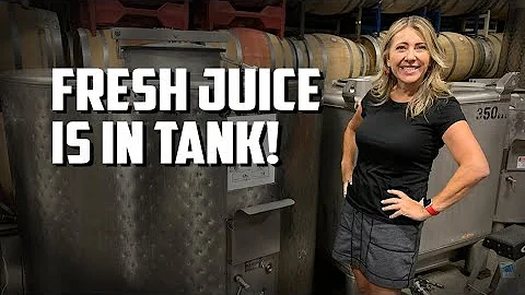 2022 Vintage Update - Fresh juice is in tank with ...