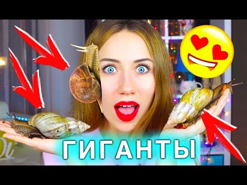 У меня три машины
