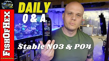 Tips For Keeping Stable Nitrates & Phosphates In A Reef Tank  | Daily Q&A
