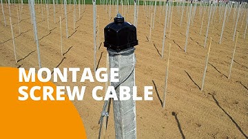 Post Cap End Concrete Pole and Screw Cable 8mm Montage- FRUITSECURITY HOLLAND