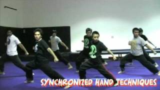 THE LOOPKICKS MARTIAL ARTS DEMO TEAM PROGRAM