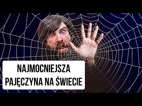 Wideo: Czy spektakularny człowiek-pająk może wrócić?