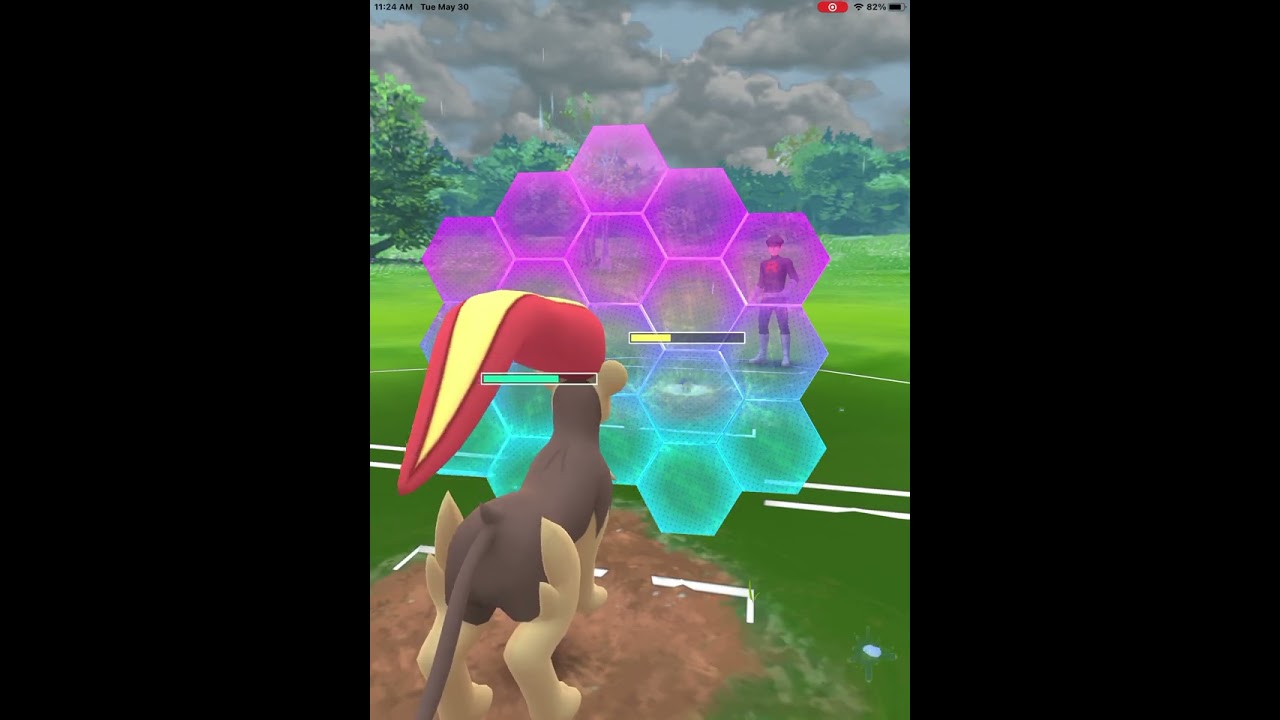 Go, my super bug Pokémon!