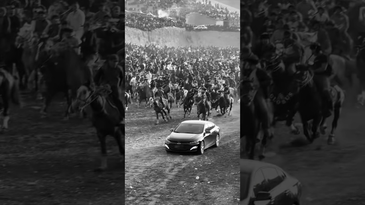 malibu ham padarka emas