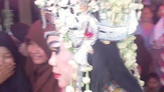 LIVE..! Seni Tari 'SINTREN' Bernuansa MAGIS, Dibacain Mantra Mistis Sang Penari Berubah Wujud..😱
