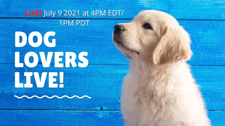 DOG LOVERS LIVE! Animal Intuitive Anne Angelo Webb