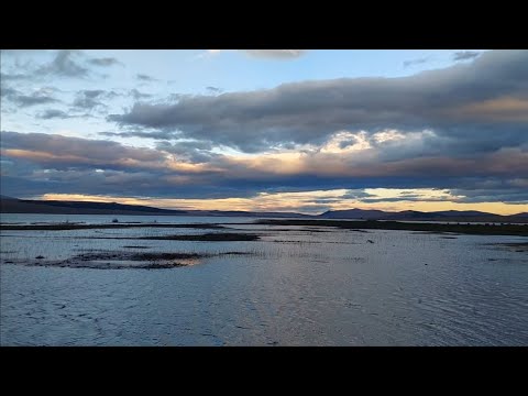 შემთხვევით! იხვზე ნადირობა წალკაში By chance!  Duck hunting in Tsalka