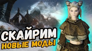 SKYRIM ТОП 10 НОВЫХ МОДОВ