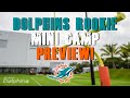 Miami dolphins rookie mini camp preview  dt situation eased
