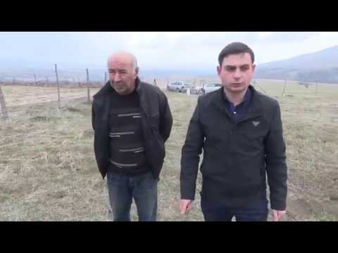 ჯუჯა კაკლის ბაღის  გაშენება -  (შპს  ჯეოფერტი - Geofert Ltd)