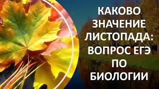 18. Каково значение листопада: вопрос ЕГЭ по биологии