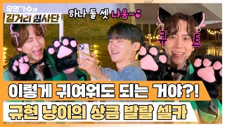 아이돌 18년 경력 어디 안 가지😆 규현의 귀염 깜찍한 고양이 셀카🐾 | 유명가수와 길거리 심사단 8회 | JTBC 240501 방송