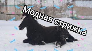 ✂️ преображение ✂️к Новому Году😅