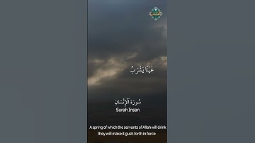 تلاوة خاشعة لما تيسر من سورة الإنسان