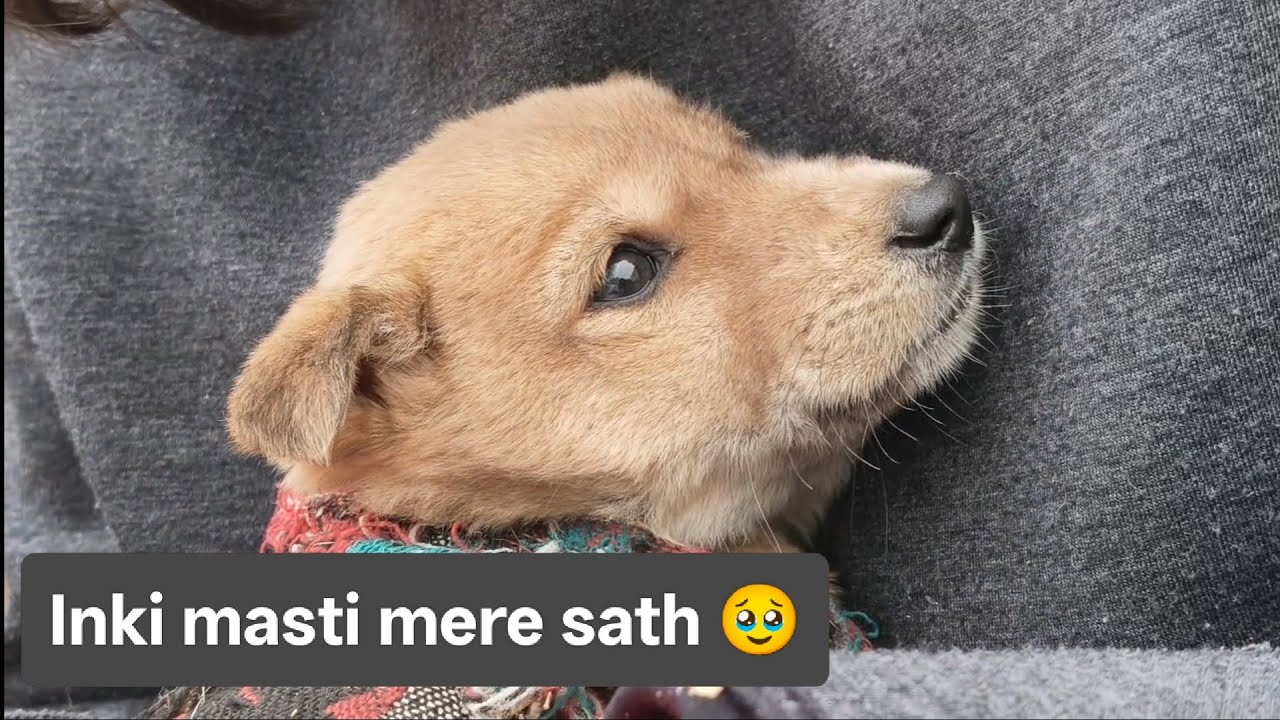 Kaise khel rhe h ye mere pass 🥹🫠🫠