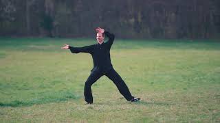 Learning Tai Chi 28 Fourth Sequence