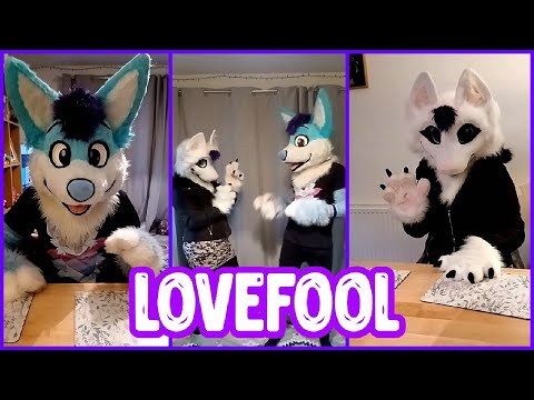 LOVEFOOL / FURSUIT MEME