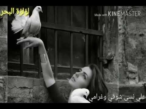 رعد الناصري ياطير وصلي سلامي حلات واتساب حزينه 