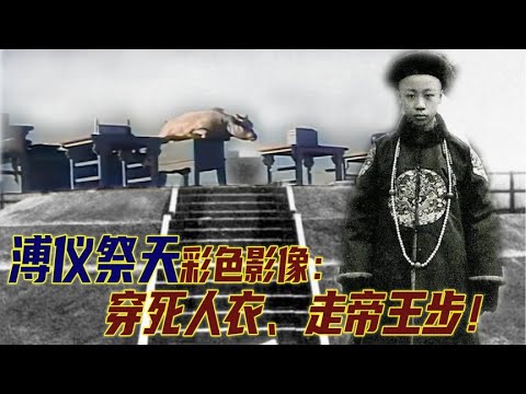 溥仪祭天彩色影像：所穿龙袍是道光帝遗物，祭台上的牛牲很抢镜！  溥仪祭天彩色影像：所穿龙袍是道光帝遗物，祭台上的牛牲很抢镜！