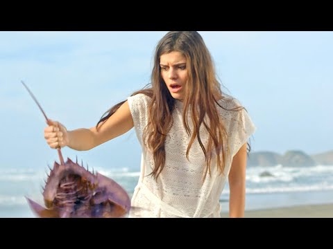 اعلان فلم Crabs!