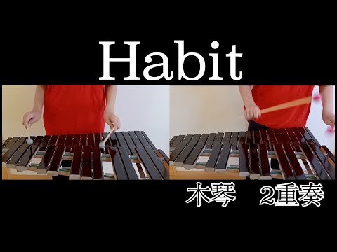 Habit /sekai no owari 【木琴】誰もが知っているあそこの部分を二重奏してみた！