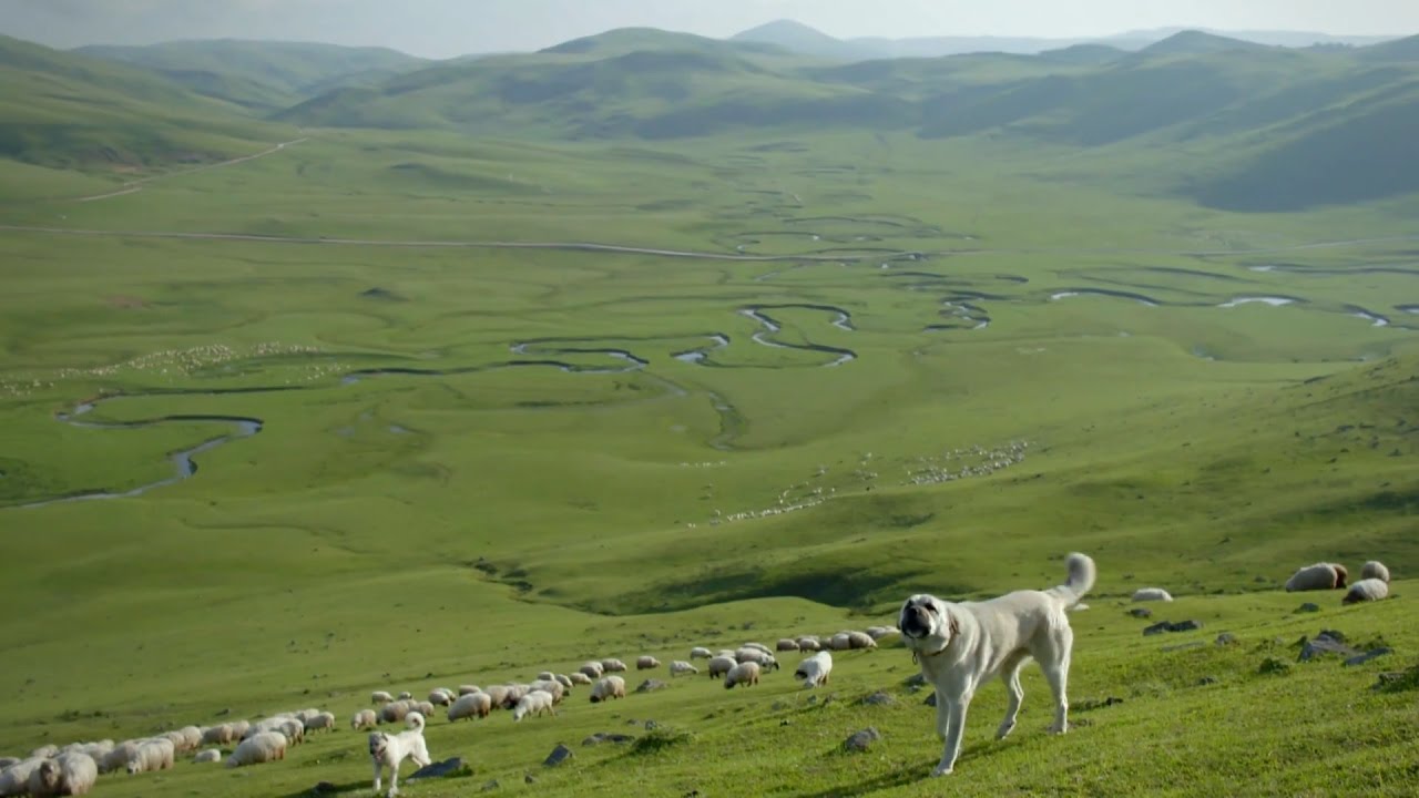 Doğa Harikası Perşembe Yaylası