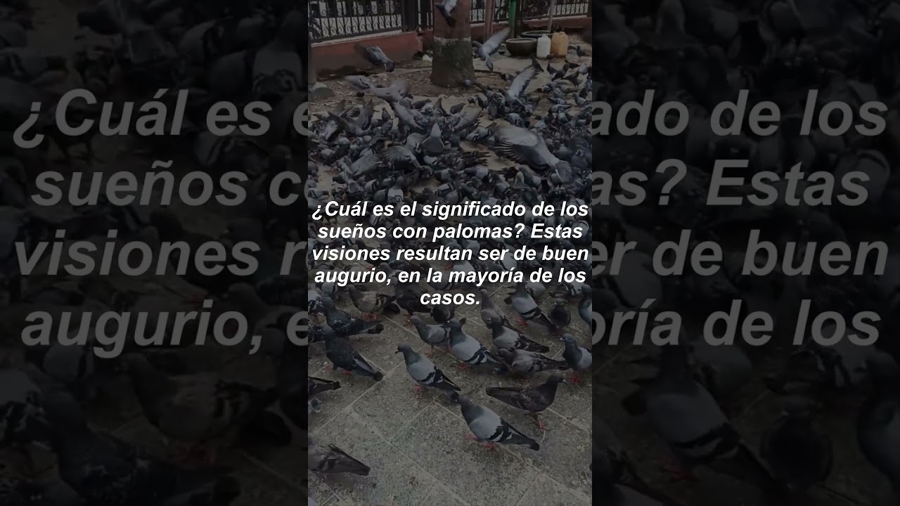 ¿QUÉ SIGNIFICA SOÑAR CON PALOMAS?